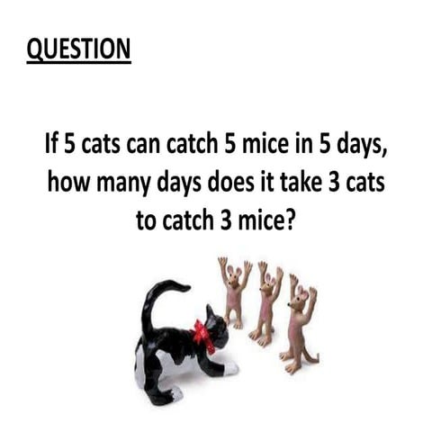 If 5 cats can catch 5 mice inextendeed