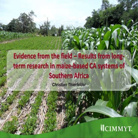 Conservation Agriculture in Malawi | PDF