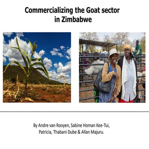 Goat Production and Marketing in Zimbabwe