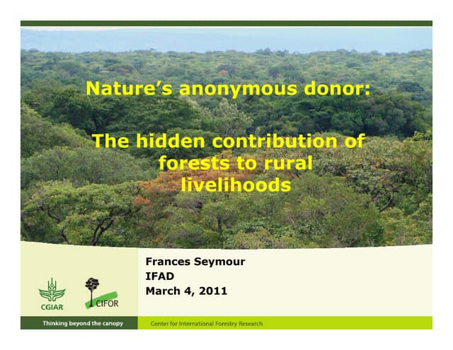 Nature’s anonymous donor: The hidden contribution of forests to rural livelihoods