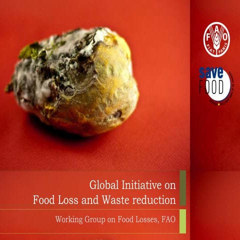 Global initiative on food loss and waste reduction | PDF