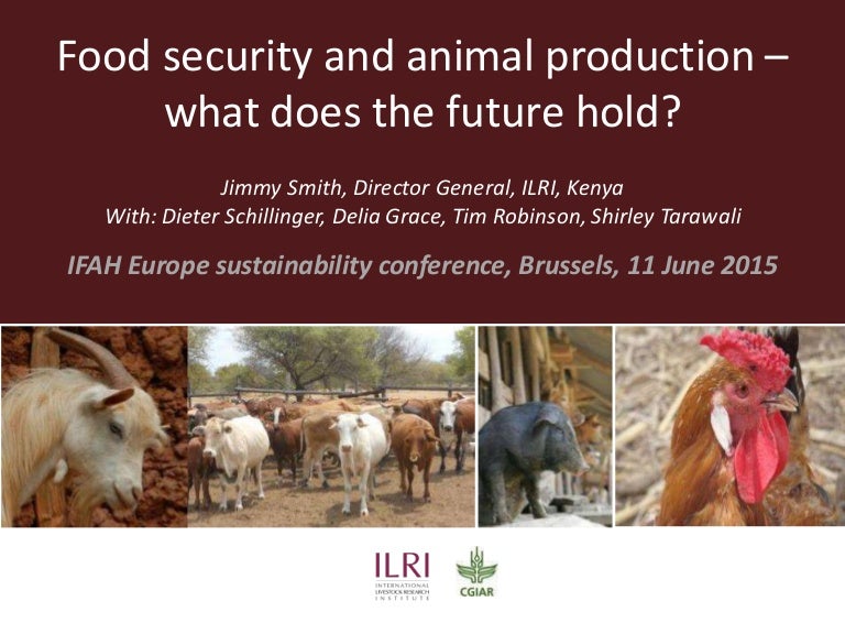 Food security and animal production—What does the future hold?