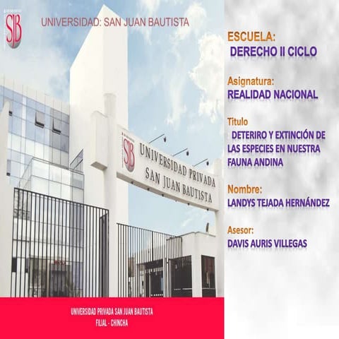 Artículo Científico -DETERIORO Y EXTINCIÓN DE LAS ESPECIES EN NUESTRA FAUNA ANDINA -Landys Tejada