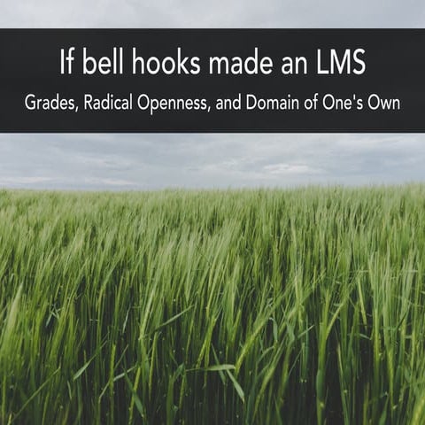 If bell hook made an LMS: Grades, Radical Openness, and Domain of One's Own