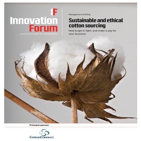Sustainable and Ethical Cotton Sourcing Management Briefing