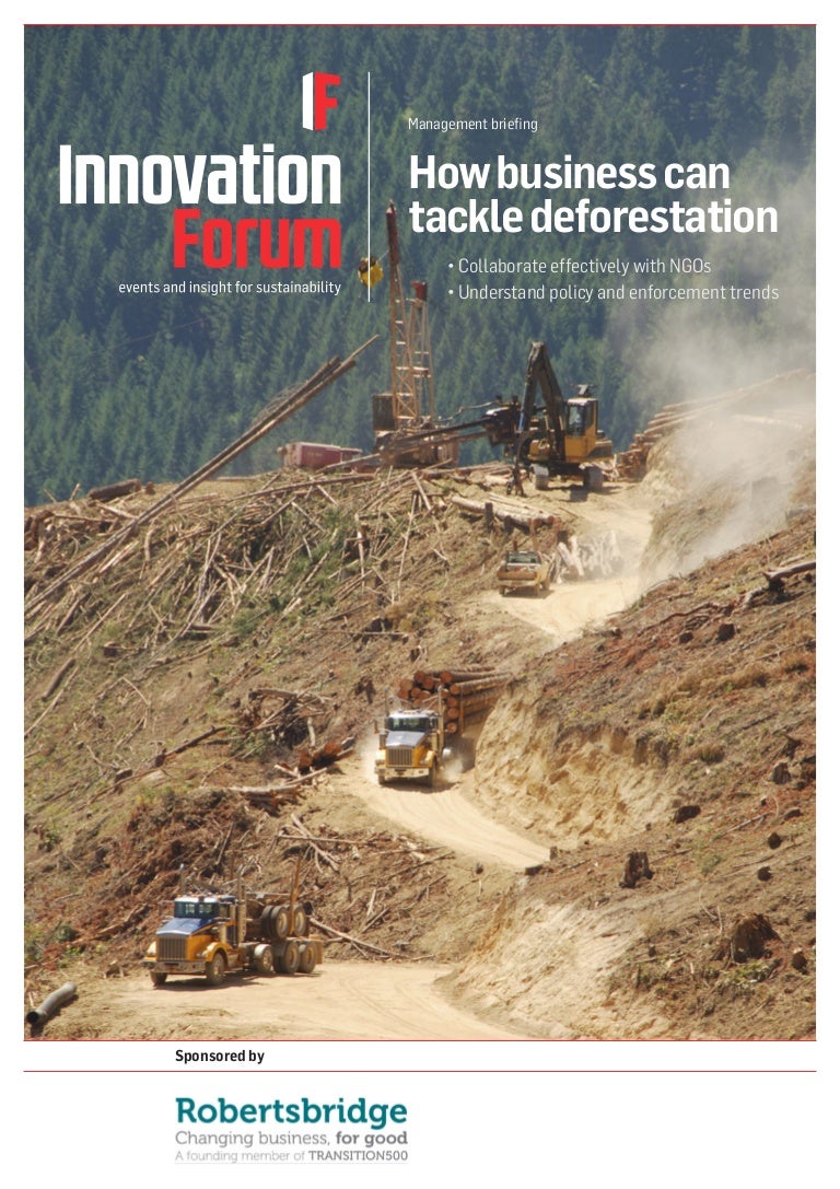 How business can tackle deforestation Innovation Forum