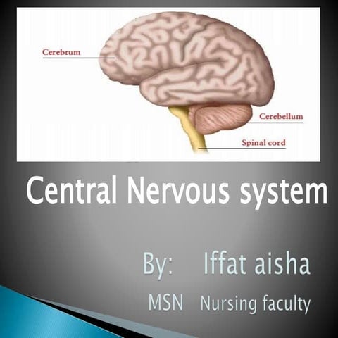 Anatomy & Physiology of Central Nervous System