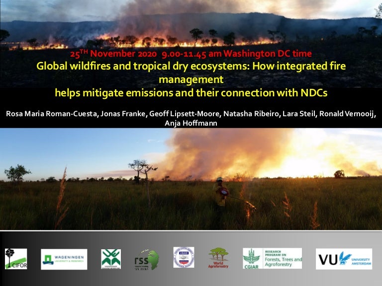 thumbnail of  Global wildfires and tropical dry ecosystems: How integrated fire management helps mitigate emissions and their connection with NDCs
