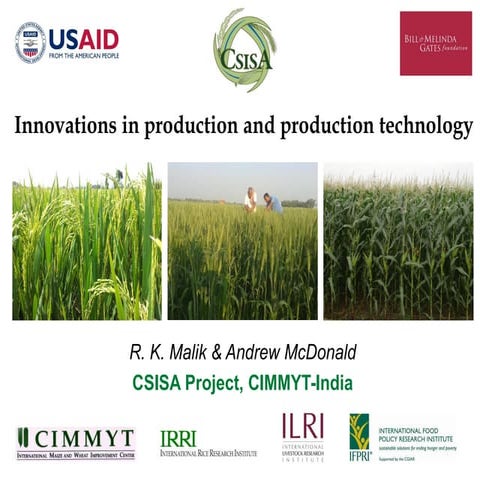 IFPRI -CSISA - Innovations in Production and Production Technology- R K ...