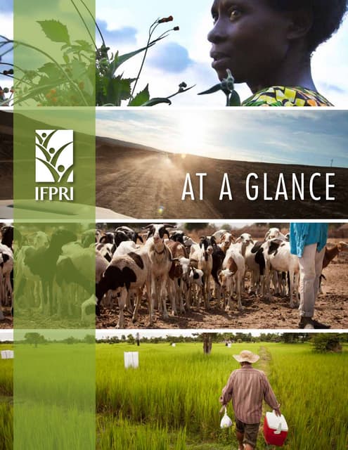 Ifpri at a glance 2015