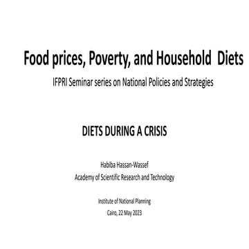 Habiba Hassan at Egypt NPS Seminar