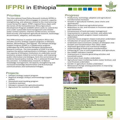 IFPRI in Ethiopia  