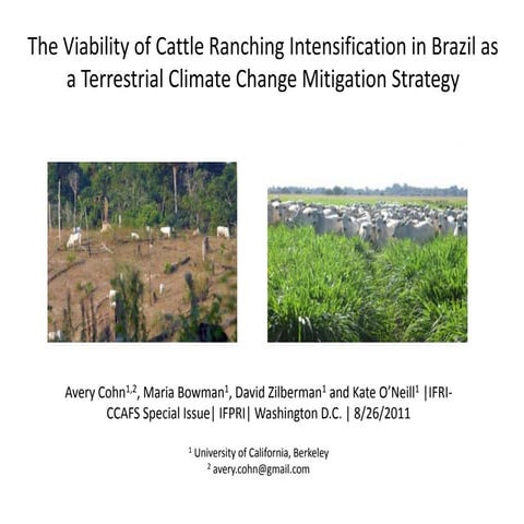 The Viability of Catle Ranching Intensification in Brazil as a Terrestrial Cl...