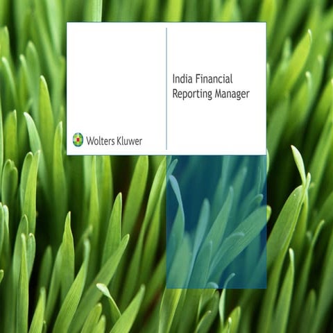 India Financial Reporting Manager
