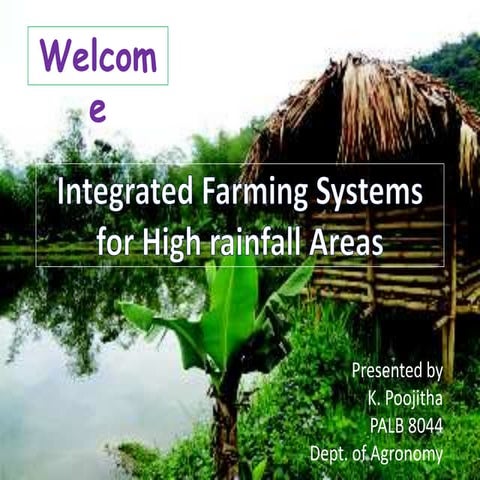 Ifs for high rainfall areas