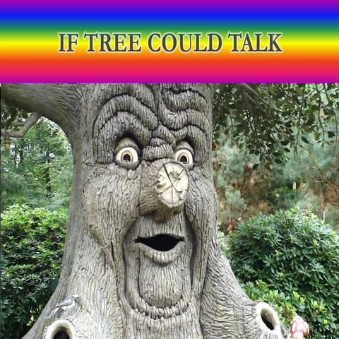 If tree could talk