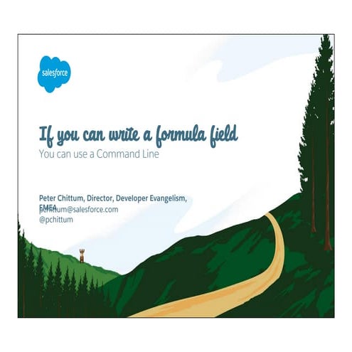 If you can write a Salesforce Formula you can use the command line