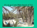 If you go Crete.Palm beach of Vai