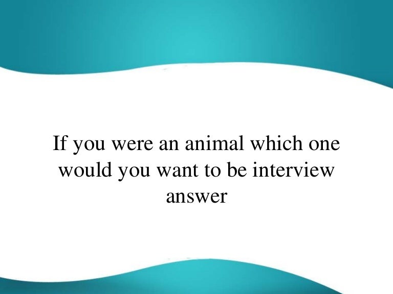 If you were an animal which one would you want to be interview answer
