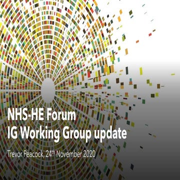IG working group update