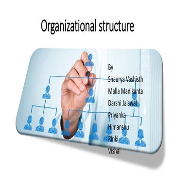 organizational structure