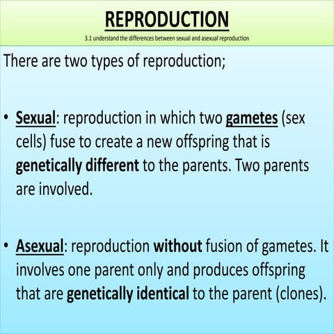 Igcse biology edexcel 3.8 3.12