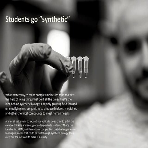 Students go "synthetic"