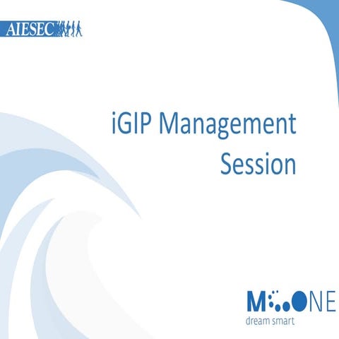 IGIP Management