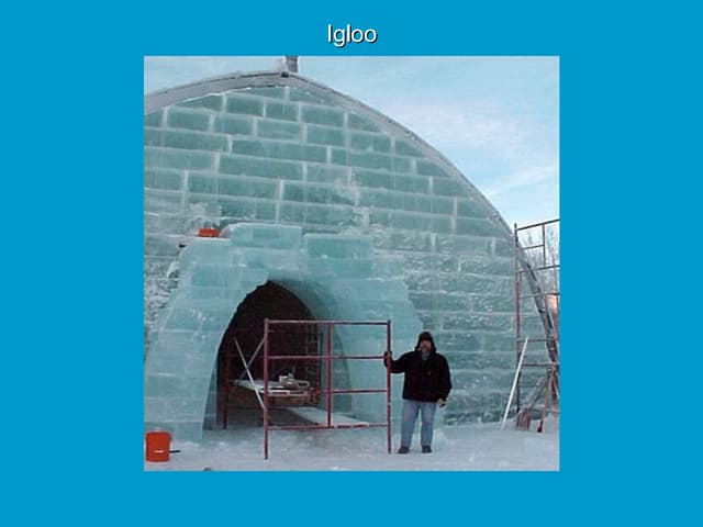Igloo
