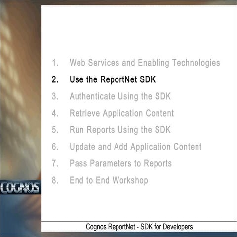 Cognos Software Development Kit