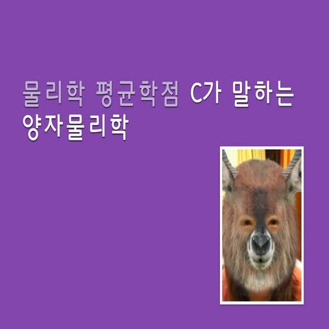 [Ignite skcomms]11. 물리학 평균학점 c가 말하는 양자물리학 김장미
