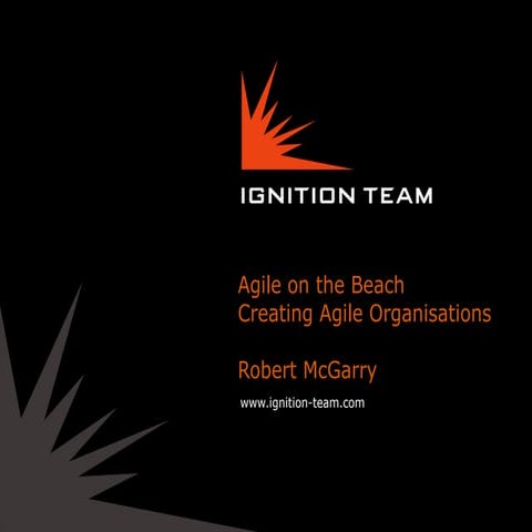 Ignition team - creating agile companies