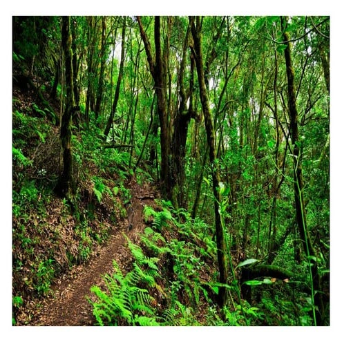 IGNORANCIA Y CONOCIMIENTO Introduccion Investigacion científica 2024.pdf