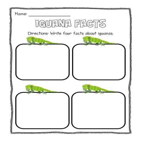 Iguana Facts