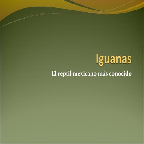 Iguanas