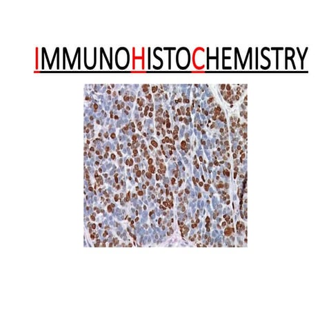 Basics of Immunohistochemistry (IHC) | PDF