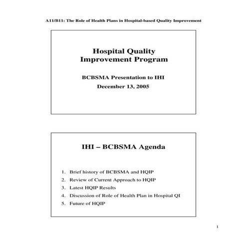 IHI BCBSMA Hospital QI Presentation
