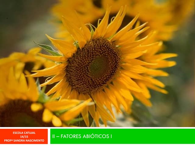 II - FATORES ABIÓTICOS I