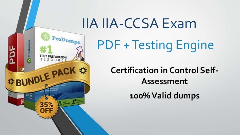 IIA-IAP実際試験