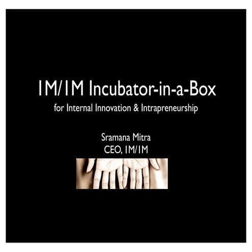 The 1M/1M Incubator-in-a-Box for Corporate Incubation for Intrapreneurship an...
