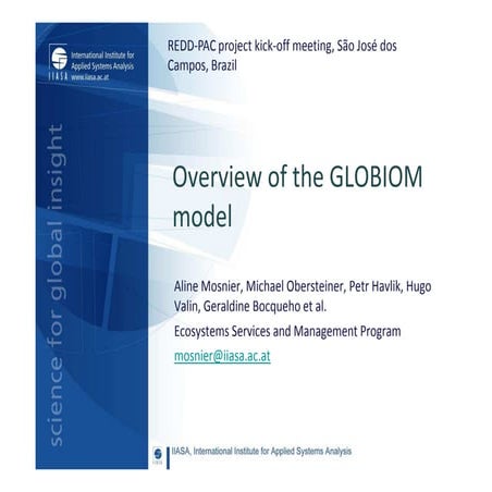 Iiasa globiom overview