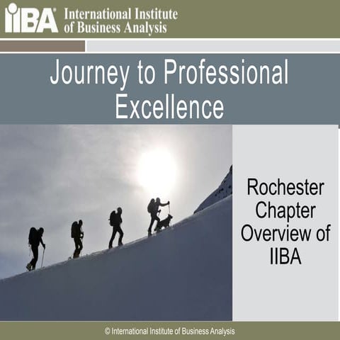 Generic IIBA Member Presentation