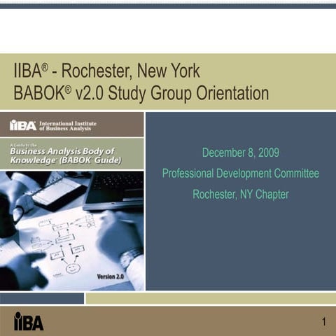 IIBA Study Group Orientation - Dec 2009 | PPT