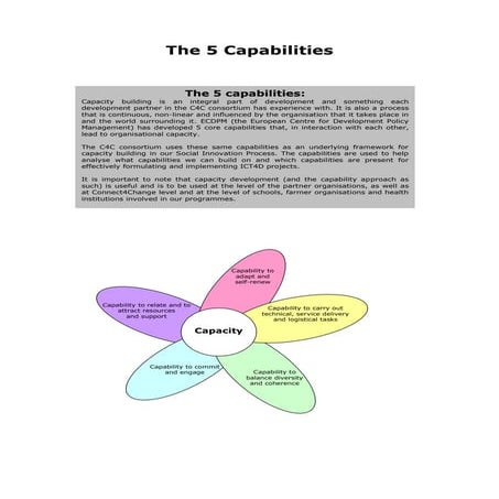 Capacity Building | PPT