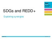 SDGs and REDD+: Exploring synergies