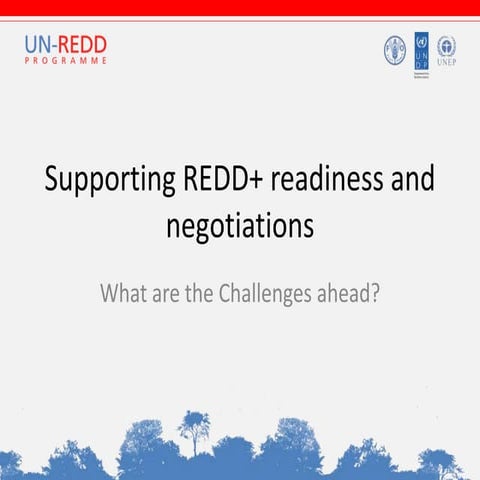 Supporting REDD+ readiness and negotiations