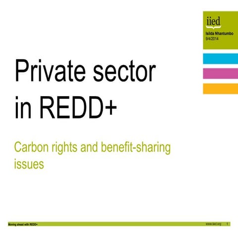 Challenges and Barriers to redd++ with Recommendations | PPTX