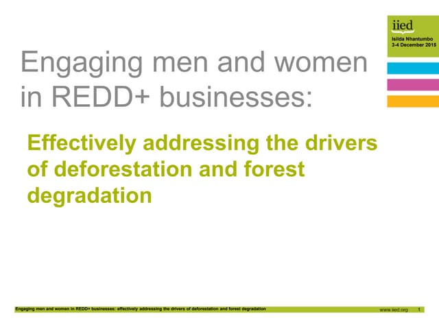 Engaging men and women in REDD+ businesses