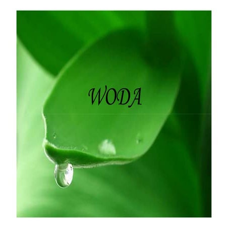 prezentacja o wodzie woda woda iii klasa | PDF | Gardening | Home & Garden