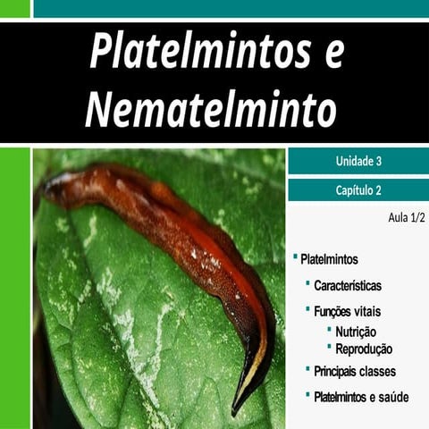 iii-2platelmintosenematelmintos-110814211824-phpapp02 (1).pptx